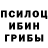 Галлюциногенные грибы прущие грибы Yuleya Yulee