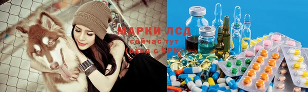 спиды Армянск